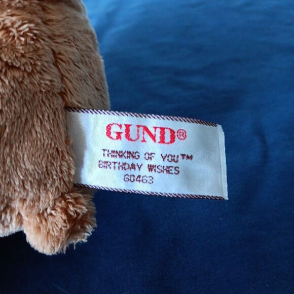 Gund Friends Forever Teddy Plush Sitting Brown Bear Hugging Stuffed Birthday - Picture 9 of 10